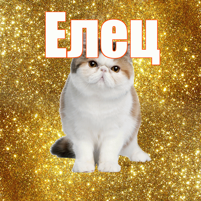 Елец! Хорошего дня! Красивая открытка Елецу!