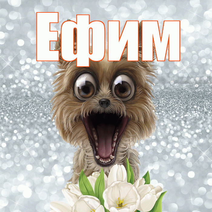 Ефим! Хорошего дня! Красивая открытка Ефиму!
