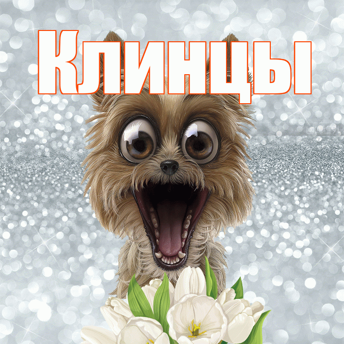 Клинцы! Хорошего дня! Красивая открытка Клинцы!