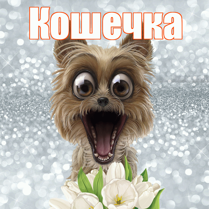 Кошечка! Хорошего дня! Красивая открытка Кошечке!