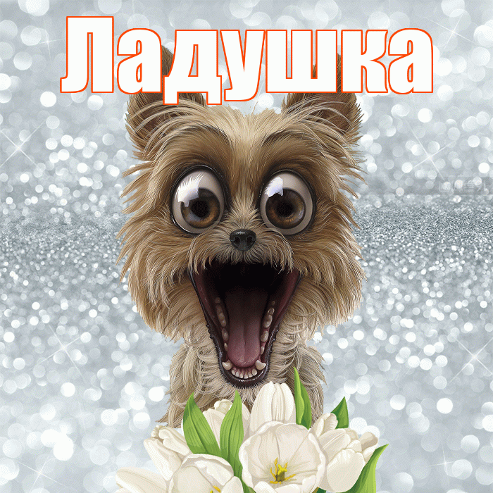 Ладушка! Хорошего дня! Красивая открытка !