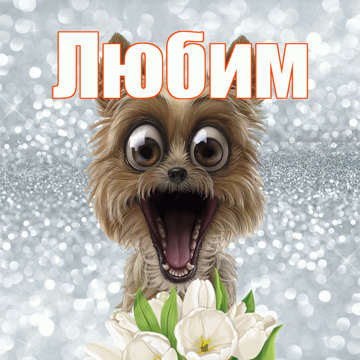 Любим! Хорошего дня! Красивая открытка Любимому!