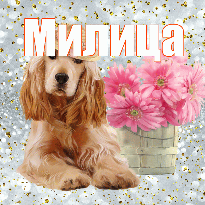 Милица! Хорошего дня! Красивая открытка Милице!
