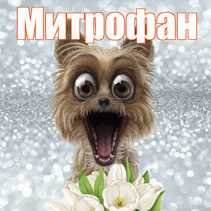 Митрофан! Хорошего дня! Красивая открытка Митрофану!