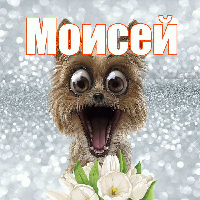 Моисей! Хорошего дня! Красивая открытка Моисею!