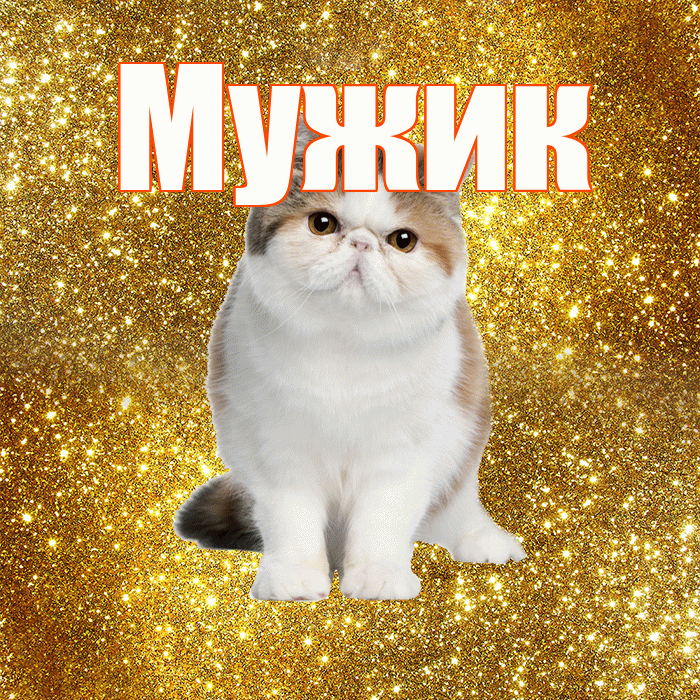 Мужик! Хорошего дня! Красивая открытка Мужику!