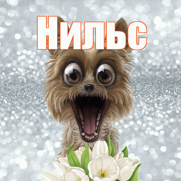 Нильс! Хорошего дня! Красивая открытка Нильсу!