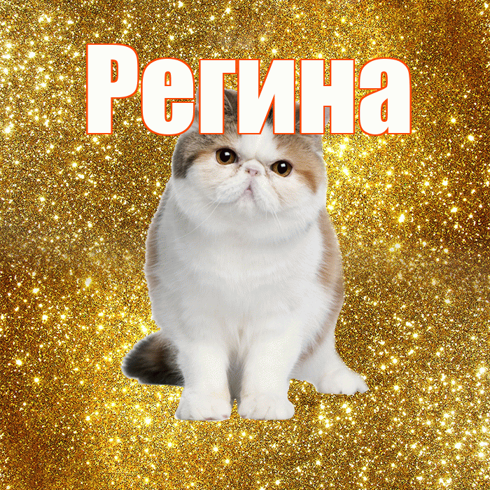 Регина! Хорошего дня! Красивая открытка Регине!