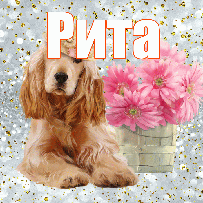 Рита! Хорошего дня! Красивая открытка Рите!