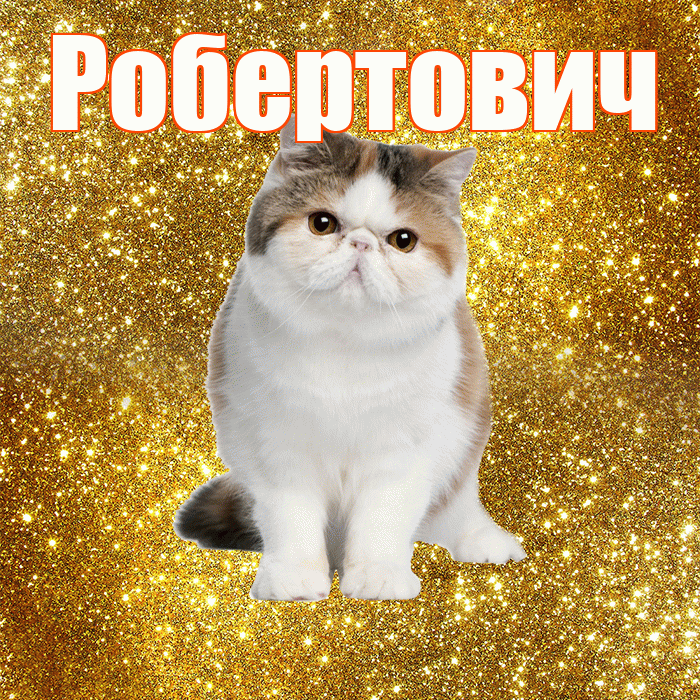 Робертович! Хорошего дня! Красивая открытка Робертовичу!