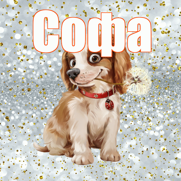 Софа! Хорошего дня! Красивая открытка Софе!