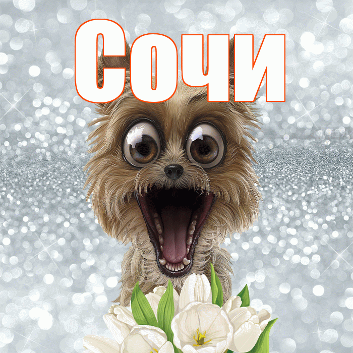 Сочи! Хорошего дня! Красивая открытка Сочи!