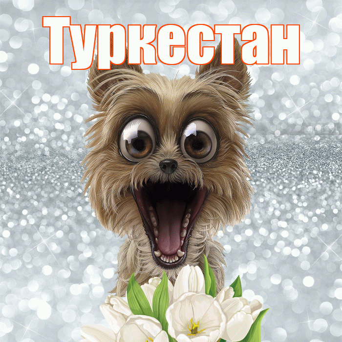 Туркестан! Хорошего дня! Красивая открытка Туркестану!
