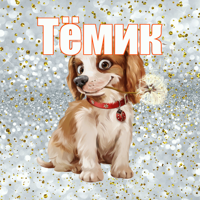 Тёмик! Хорошего дня! Красивая открытка !