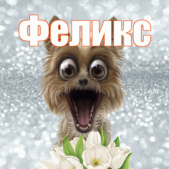 Феликс! Хорошего дня! Красивая открытка Феликсу!