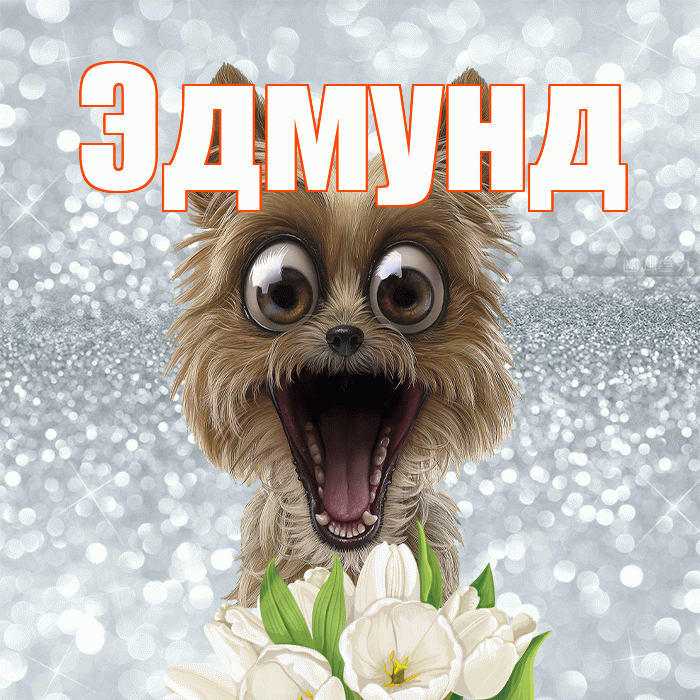 Эдмунд! Хорошего дня! Красивая открытка Эдмунду!