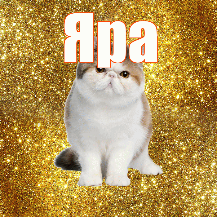 Яра! Хорошего дня! Красивая открытка !