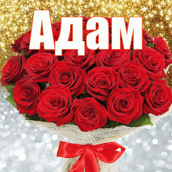 Адам! Хорошего настроения! Красивая открытка Адаму!