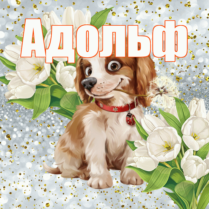 Адольф! Хорошего настроения! Красивая открытка Адольфу!