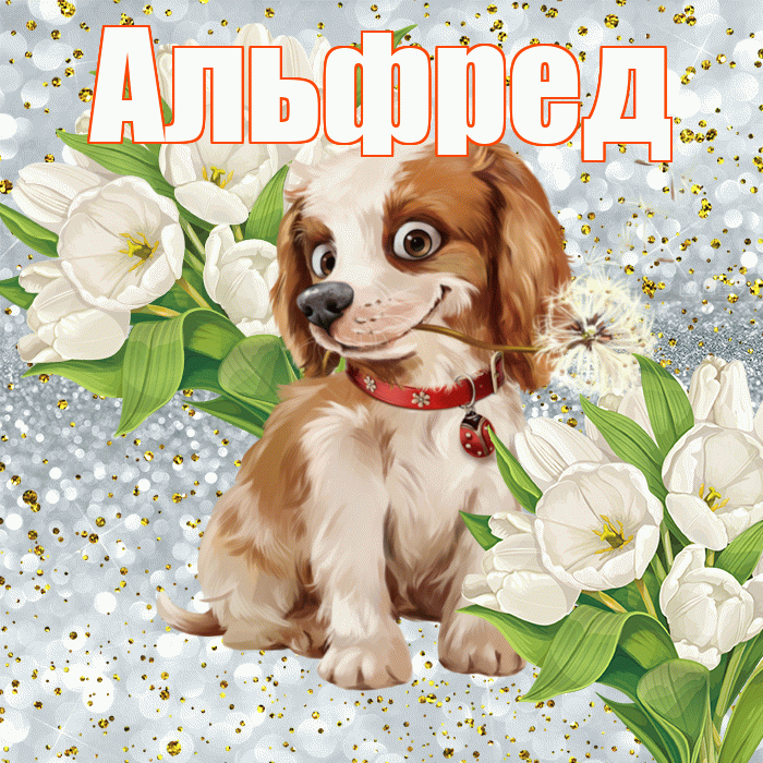 Альфред! Хорошего настроения! Красивая открытка Альфреду!