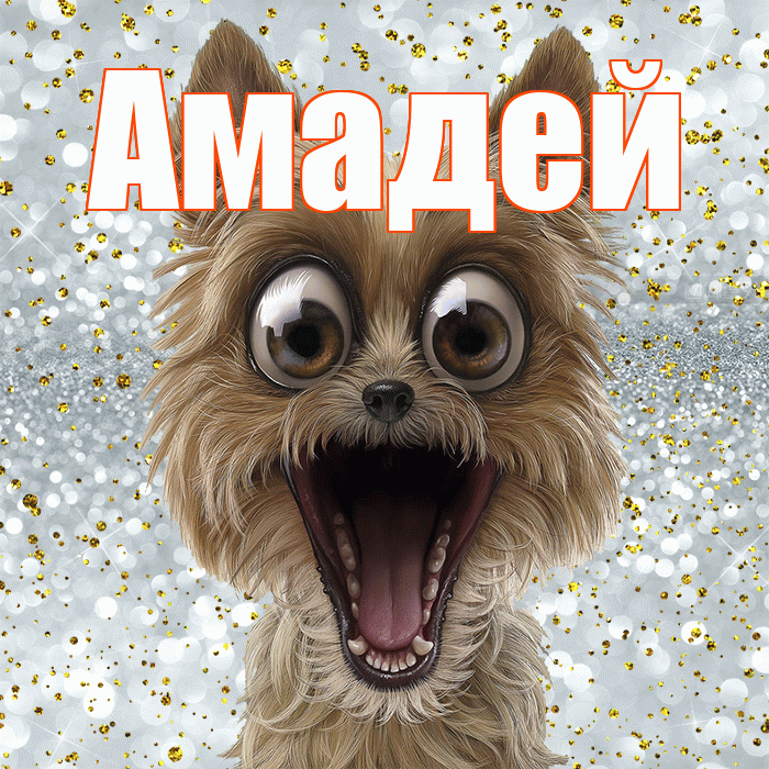 Амадей! Хорошего настроения! Красивая открытка Амадею!