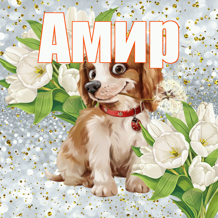 Амир! Хорошего настроения! Красивая открытка Амиру!