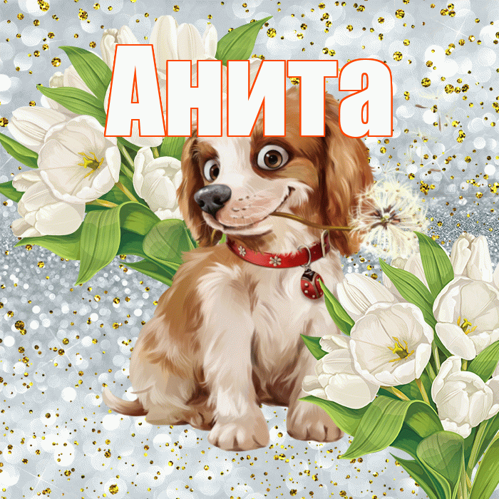 Анита! Хорошего настроения! Красивая открытка Аните!