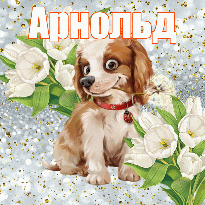 Арнольд! Хорошего настроения! Красивая открытка Арнольду!