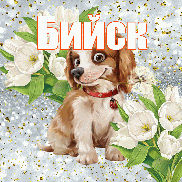 Бийск! Хорошего настроения! Красивая открытка Бийску!