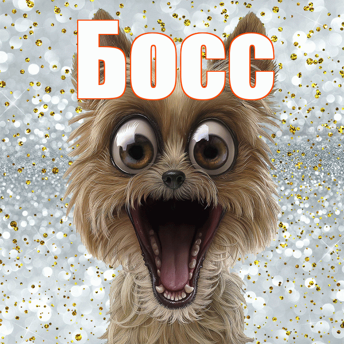 Босс! Хорошего настроения! Красивая открытка Боссу!
