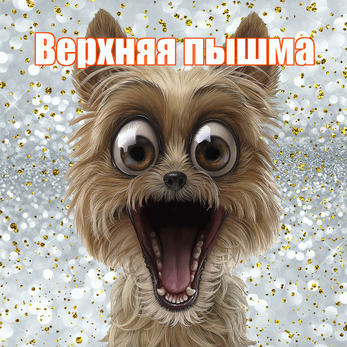 Верхняя пышма! Хорошего настроения! Красивая открытка !