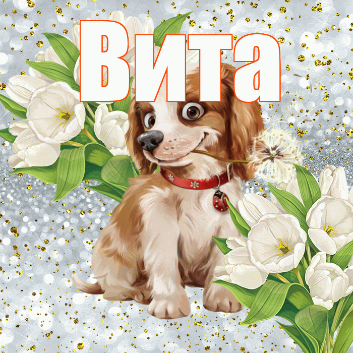 Вита! Хорошего настроения! Красивая открытка !