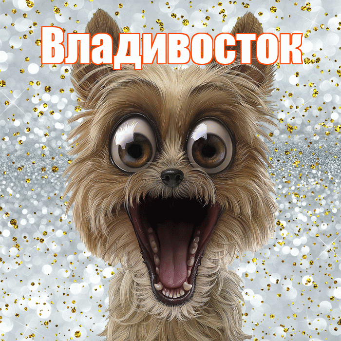 Владивосток! Хорошего настроения! Красивая открытка Владивостоку!