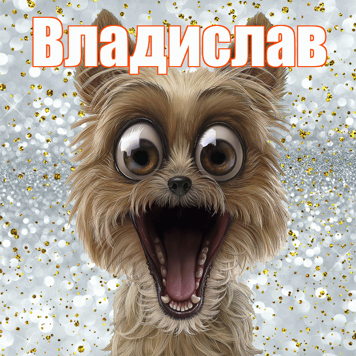 Владислав! Хорошего настроения! Красивая открытка Владиславу!