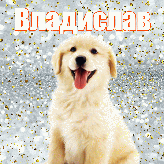 Владислав! Хорошего настроения! Красивая открытка Владиславу!