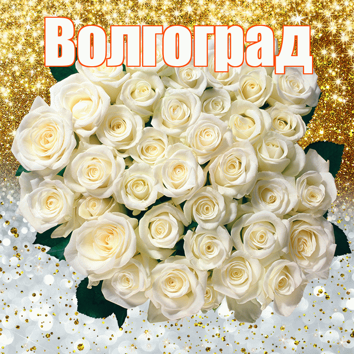 Волгоград! Хорошего настроения! Красивая открытка Волгограду!