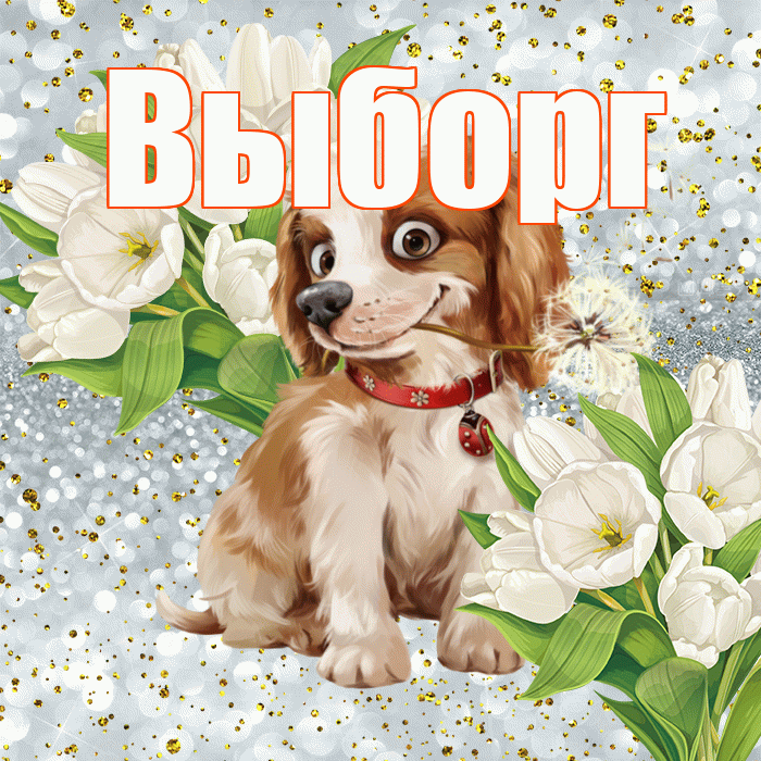 Выборг! Хорошего настроения! Красивая открытка Выборгу!