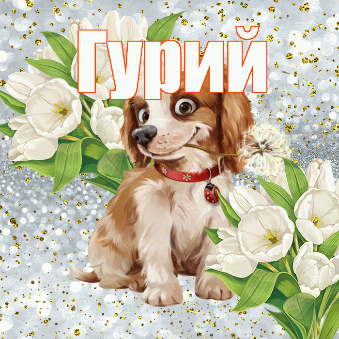 Гурий! Хорошего настроения! Красивая открытка Гурию!