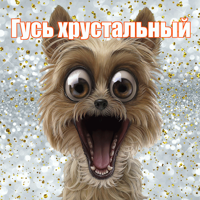 Гусь хрустальный! Хорошего настроения! Красивая открытка !
