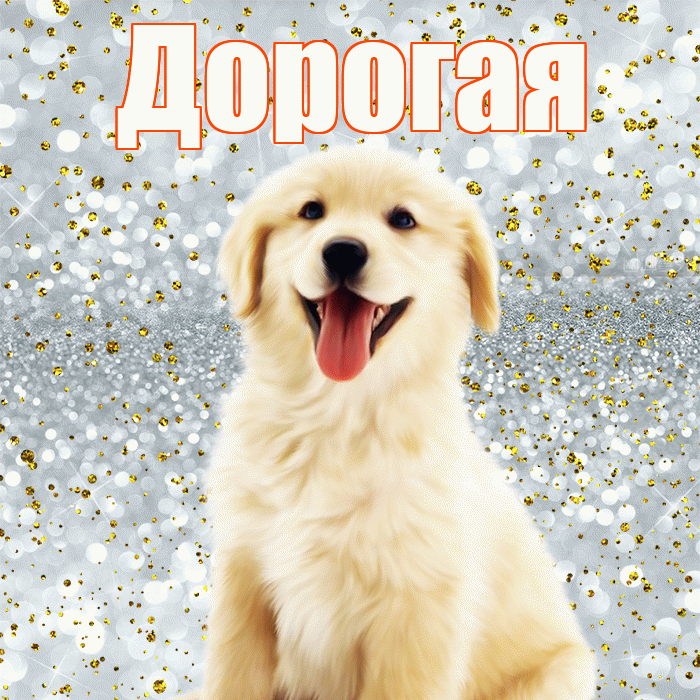 Дорогая! Хорошего настроения! Красивая открытка Дорогой!