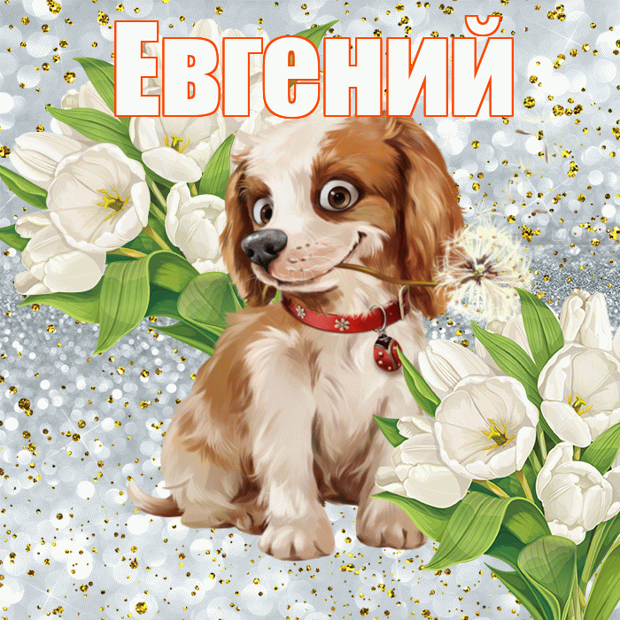 Евгений! Хорошего настроения! Красивая открытка Евгению!