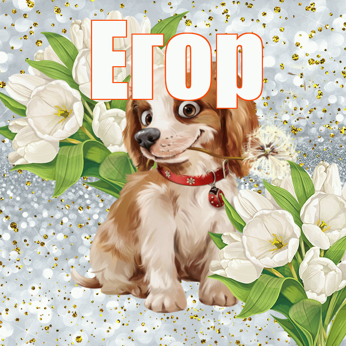 Егор! Хорошего настроения! Красивая открытка Егору!