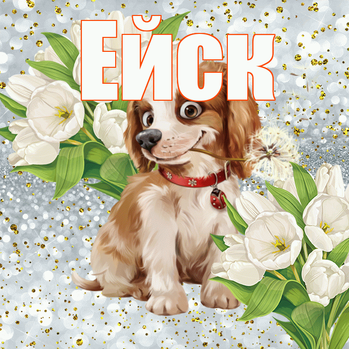 Ейск! Хорошего настроения! Красивая открытка Ейску!
