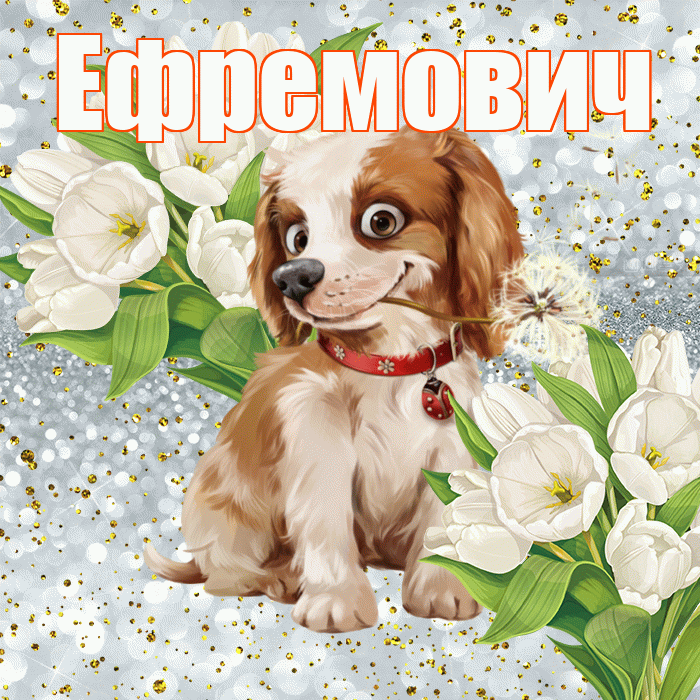 Ефремович! Хорошего настроения! Красивая открытка Ефремовичу!