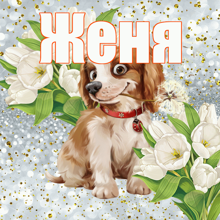 Женя! Хорошего настроения! Красивая открытка Жене!