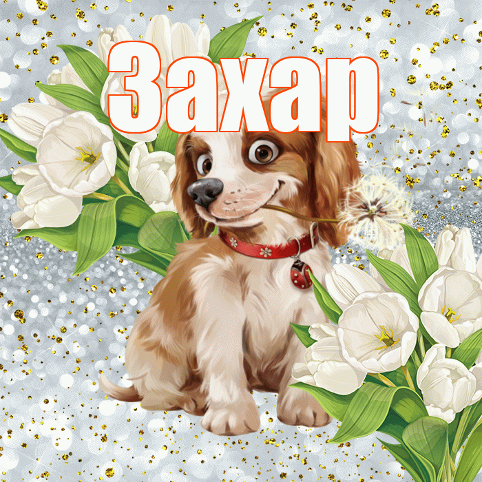 Захар! Хорошего настроения! Красивая открытка Захару!