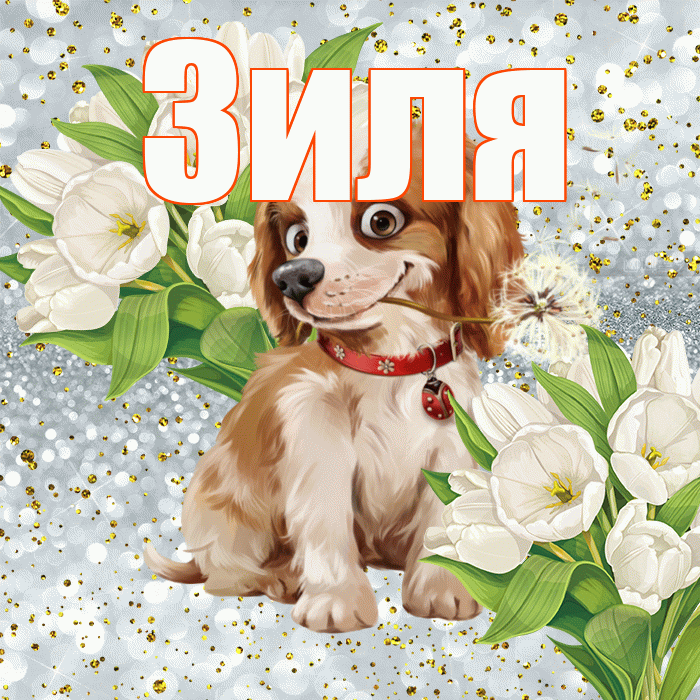 Зиля! Хорошего настроения! Красивая открытка Зиле!