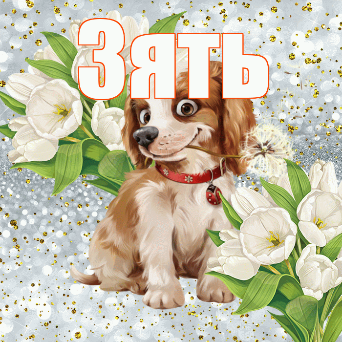 Зять! Хорошего настроения! Красивая открытка Зятю!