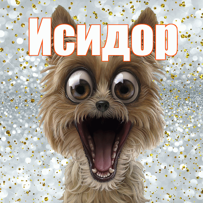 Исидор! Хорошего настроения! Красивая открытка Исидору!