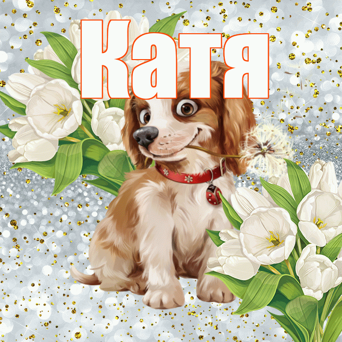 Катя! Хорошего настроения! Красивая открытка Кате!